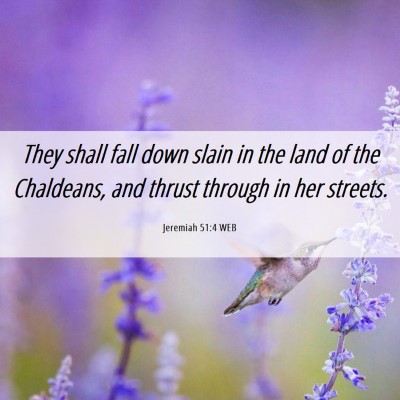 Picture 06 - Jeremiah 51:4 WEB - They shall fall down slain in the land of the - Bible Verse Picture