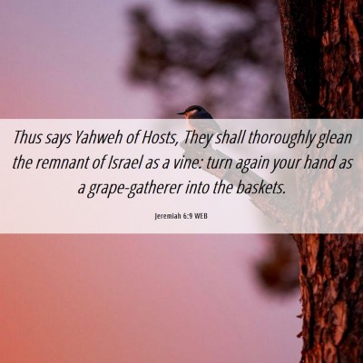 Picture 06 - Jeremiah 6:9 WEB - Thus says Yahweh of Hosts, They shall thoroughly - Bible Verse Picture