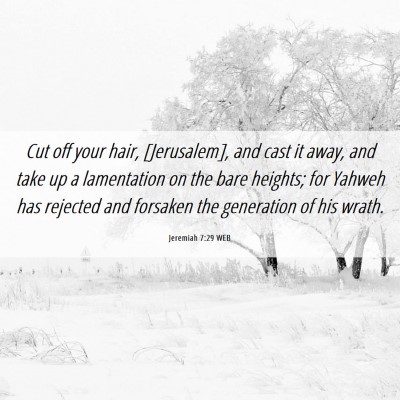 Picture 06 - Jeremiah 7:29 WEB - Cut off your hair, [Jerusalem], and cast it away, - Bible Verse Picture