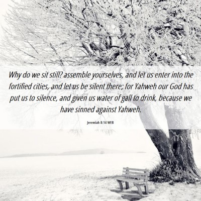 Picture 06 - Jeremiah 8:14 WEB - Why do we sit still? assemble yourselves, and let - Bible Verse Picture