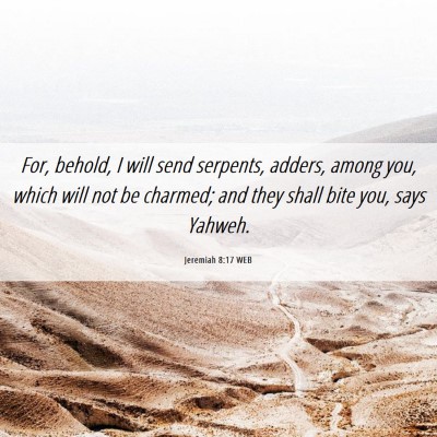 Picture 06 - Jeremiah 8:17 WEB - For, behold, I will send serpents, adders, among - Bible Verse Picture