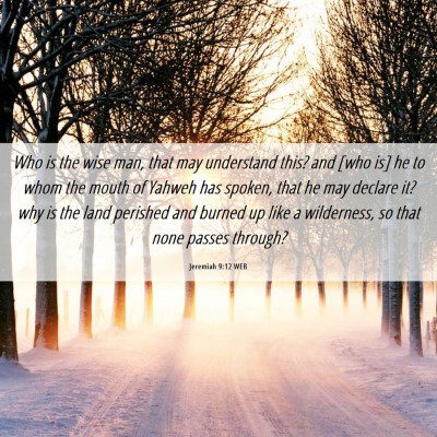 Picture 06 - Jeremiah 9:12 WEB - Who is the wise man, that may understand this? - Bible Verse Picture
