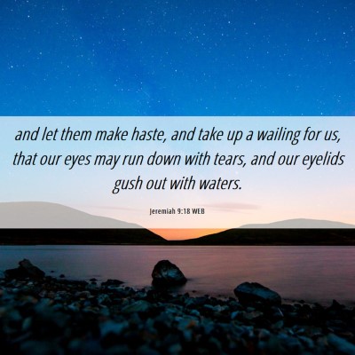 Picture 06 - Jeremiah 9:18 WEB - and let them make haste, and take up a wailing - Bible Verse Picture