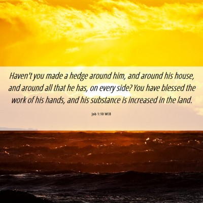Picture 06 - Job 1:10 WEB - Haven't you made a hedge around him, and around - Bible Verse Picture