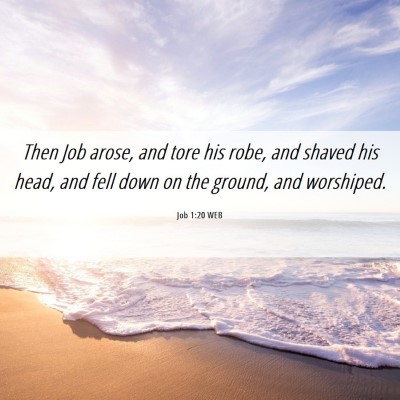 Picture 06 - Job 1:20 WEB - Then Job arose, and tore his robe, and shaved his - Bible Verse Picture