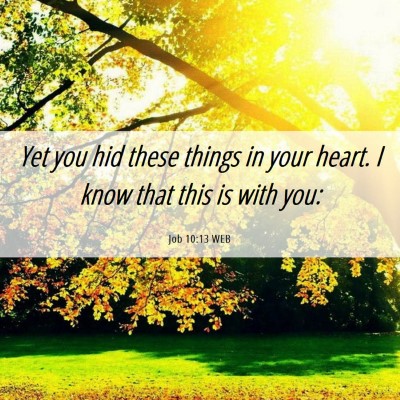 Picture 06 - Job 10:13 WEB - Yet you hid these things in your heart. I know - Bible Verse Picture