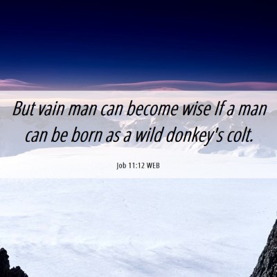 Picture 06 - Job 11:12 WEB - But vain man can become wise If a man can be born - Bible Verse Picture