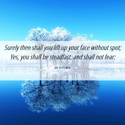 Picture 06 - Job 11:15 WEB - Surely then shall you lift up your face without - Bible Verse Picture