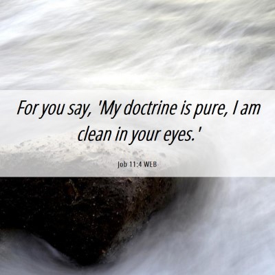 Picture 06 - Job 11:4 WEB - For you say, 'My doctrine is pure, I am clean in - Bible Verse Picture