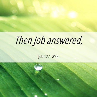 Picture 06 - Job 12:1 WEB - Then Job - Bible Verse Picture