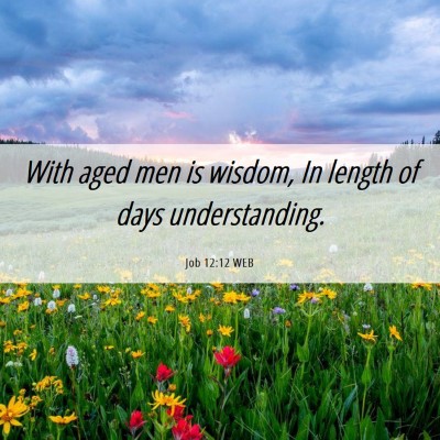 Picture 06 - Job 12:12 WEB - With aged men is wisdom, In length of days - Bible Verse Picture