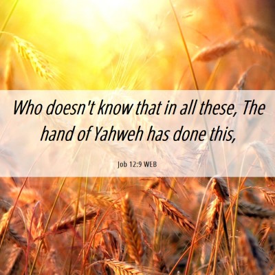 Picture 06 - Job 12:9 WEB - Who doesn't know that in all these, The hand of - Bible Verse Picture