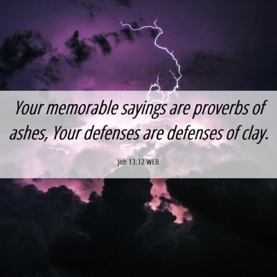 Picture 06 - Job 13:12 WEB - Your memorable sayings are proverbs of ashes, - Bible Verse Picture