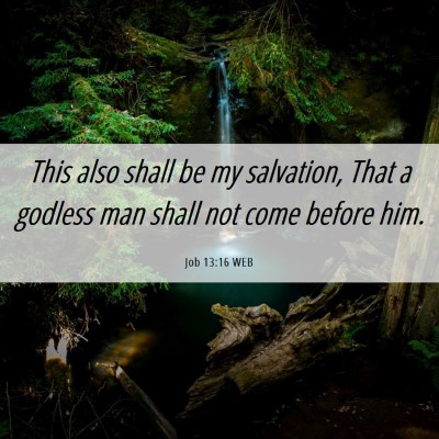 Picture 06 - Job 13:16 WEB - This also shall be my salvation, That a godless - Bible Verse Picture