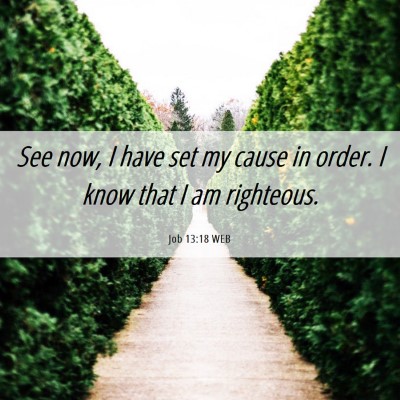 Picture 06 - Job 13:18 WEB - See now, I have set my cause in order. I know - Bible Verse Picture