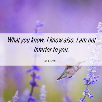 Picture 06 - Job 13:2 WEB - What you know, I know also. I am not inferior to - Bible Verse Picture