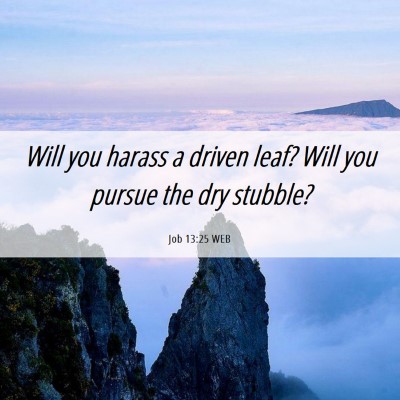 Picture 06 - Job 13:25 WEB - Will you harass a driven leaf? Will you pursue - Bible Verse Picture