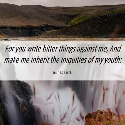 Picture 06 - Job 13:26 WEB - For you write bitter things against me, And make - Bible Verse Picture