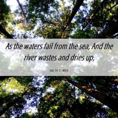 Picture 06 - Job 14:11 WEB - As the waters fail from the sea, And the river - Bible Verse Picture