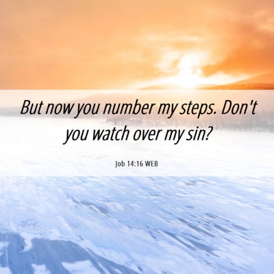 Picture 06 - Job 14:16 WEB - But now you number my steps. Don't you watch over - Bible Verse Picture
