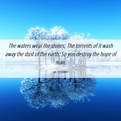 Picture 06 - Job 14:19 WEB - The waters wear the stones; The torrents of it - Bible Verse Picture