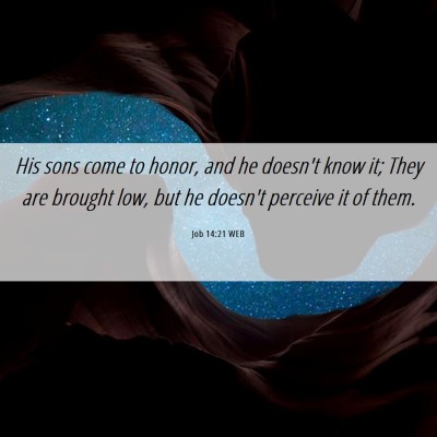 Picture 06 - Job 14:21 WEB - His sons come to honor, and he doesn't know it; - Bible Verse Picture