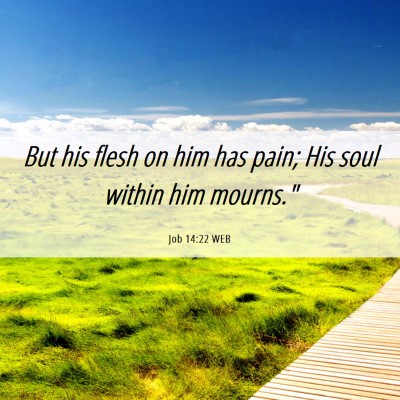Picture 06 - Job 14:22 WEB - But his flesh on him has pain; His soul within - Bible Verse Picture