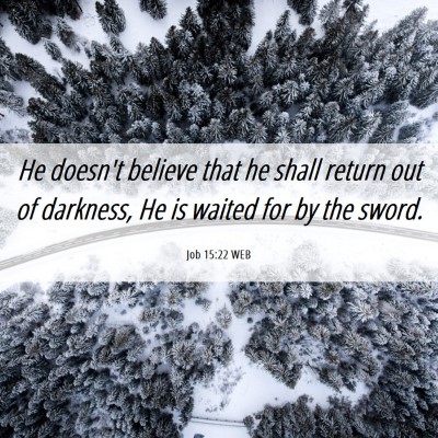 Picture 06 - Job 15:22 WEB - He doesn't believe that he shall return out of - Bible Verse Picture