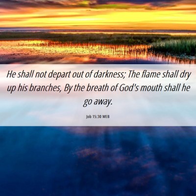 Picture 06 - Job 15:30 WEB - He shall not depart out of darkness; The flame - Bible Verse Picture