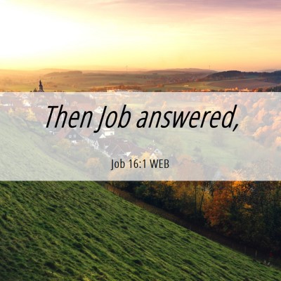 Picture 06 - Job 16:1 WEB - Then Job - Bible Verse Picture