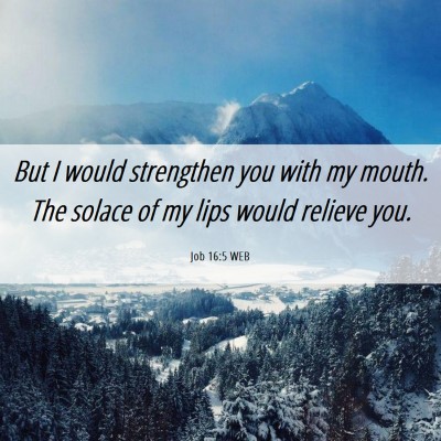 Picture 06 - Job 16:5 WEB - But I would strengthen you with my mouth. The - Bible Verse Picture