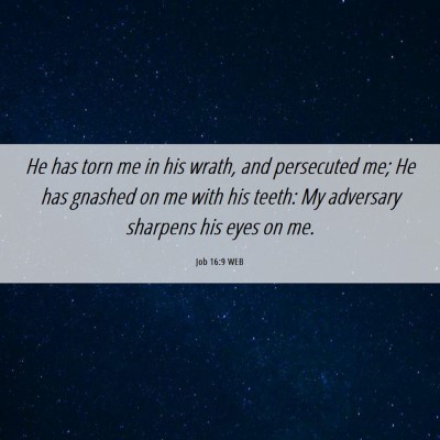 Picture 06 - Job 16:9 WEB - He has torn me in his wrath, and persecuted me; - Bible Verse Picture