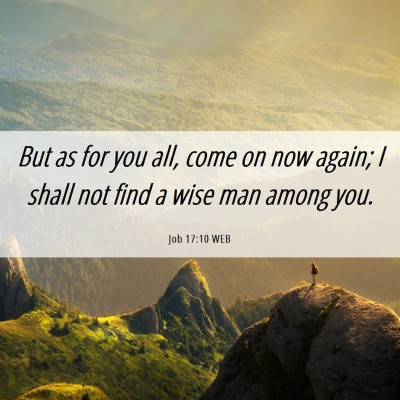 Picture 06 - Job 17:10 WEB - But as for you all, come on now again; I shall - Bible Verse Picture