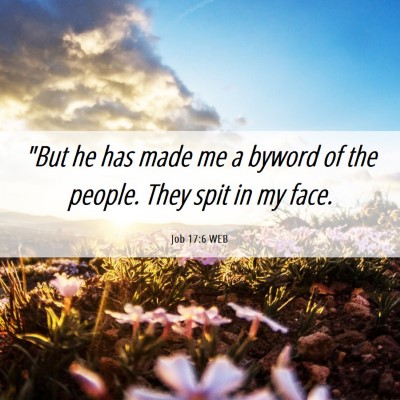 Picture 06 - Job 17:6 WEB - 