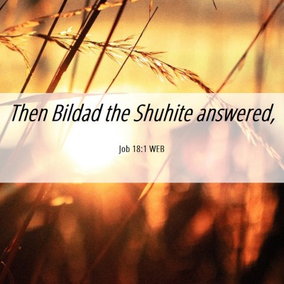 Picture 06 - Job 18:1 WEB - Then Bildad the Shuhite - Bible Verse Picture