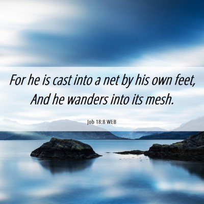 Picture 06 - Job 18:8 WEB - For he is cast into a net by his own feet, And he - Bible Verse Picture