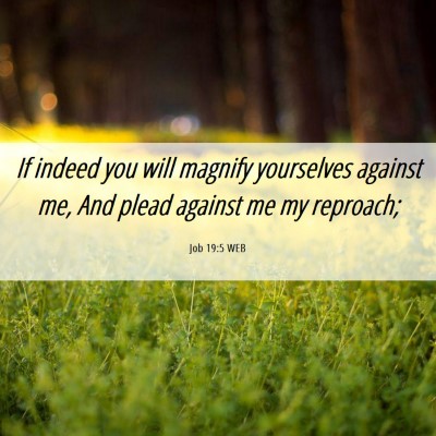 Picture 06 - Job 19:5 WEB - If indeed you will magnify yourselves against me, - Bible Verse Picture