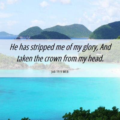 Picture 06 - Job 19:9 WEB - He has stripped me of my glory, And taken the - Bible Verse Picture