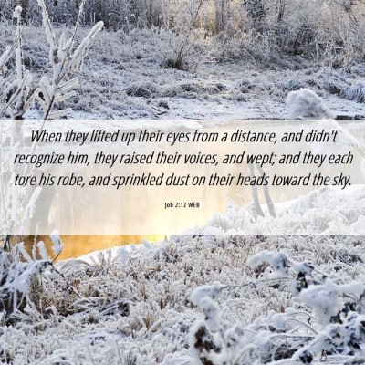 Picture 06 - Job 2:12 WEB - When they lifted up their eyes from a distance, - Bible Verse Picture
