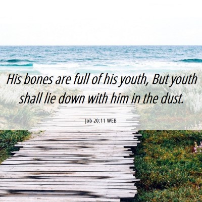 Picture 06 - Job 20:11 WEB - His bones are full of his youth, But youth shall - Bible Verse Picture