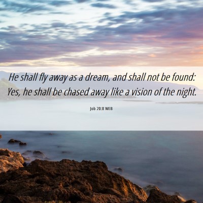 Picture 06 - Job 20:8 WEB - He shall fly away as a dream, and shall not be - Bible Verse Picture