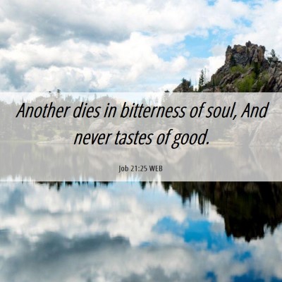 Picture 06 - Job 21:25 WEB - Another dies in bitterness of soul, And never - Bible Verse Picture