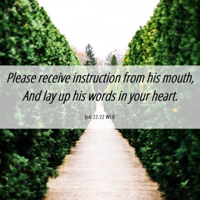 Picture 06 - Job 22:22 WEB - Please receive instruction from his mouth, And - Bible Verse Picture