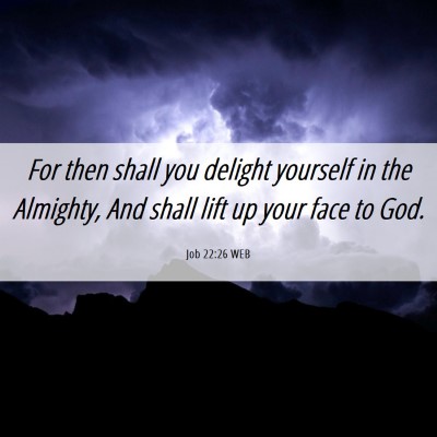 Picture 06 - Job 22:26 WEB - For then shall you delight yourself in the - Bible Verse Picture