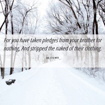 Picture 06 - Job 22:6 WEB - For you have taken pledges from your brother for - Bible Verse Picture