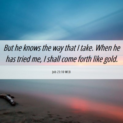 Picture 06 - Job 23:10 WEB - But he knows the way that I take. When he has - Bible Verse Picture