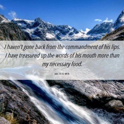 Picture 06 - Job 23:12 WEB - I haven't gone back from the commandment of his - Bible Verse Picture