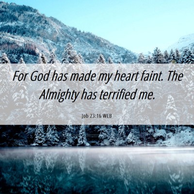 Picture 06 - Job 23:16 WEB - For God has made my heart faint. The Almighty has - Bible Verse Picture
