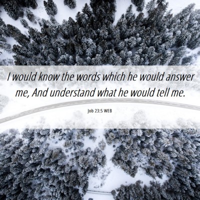 Picture 06 - Job 23:5 WEB - I would know the words which he would answer me, - Bible Verse Picture
