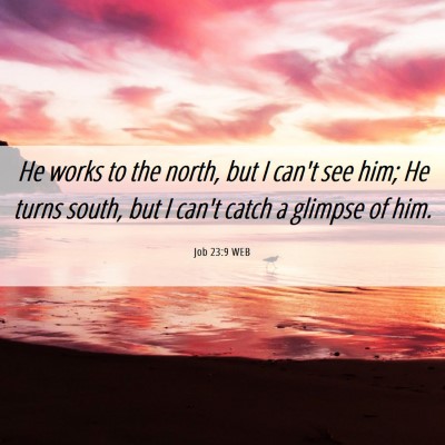 Picture 06 - Job 23:9 WEB - He works to the north, but I can't see him; He - Bible Verse Picture